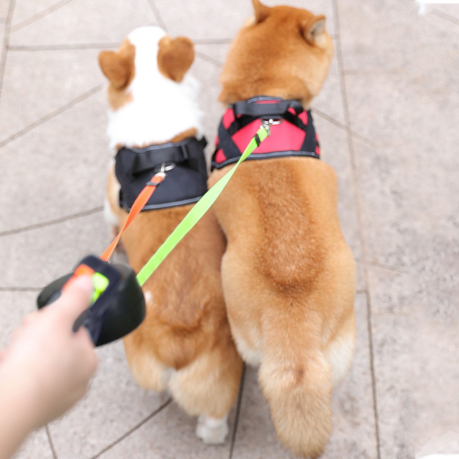 Retractable Dual Dog Leash – Tangle-Free, Reflective & LED Light for Safe Walks